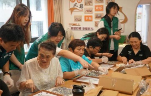 国际数字经济学院：智“汇”助老承暖意 银龄欢颜映山海